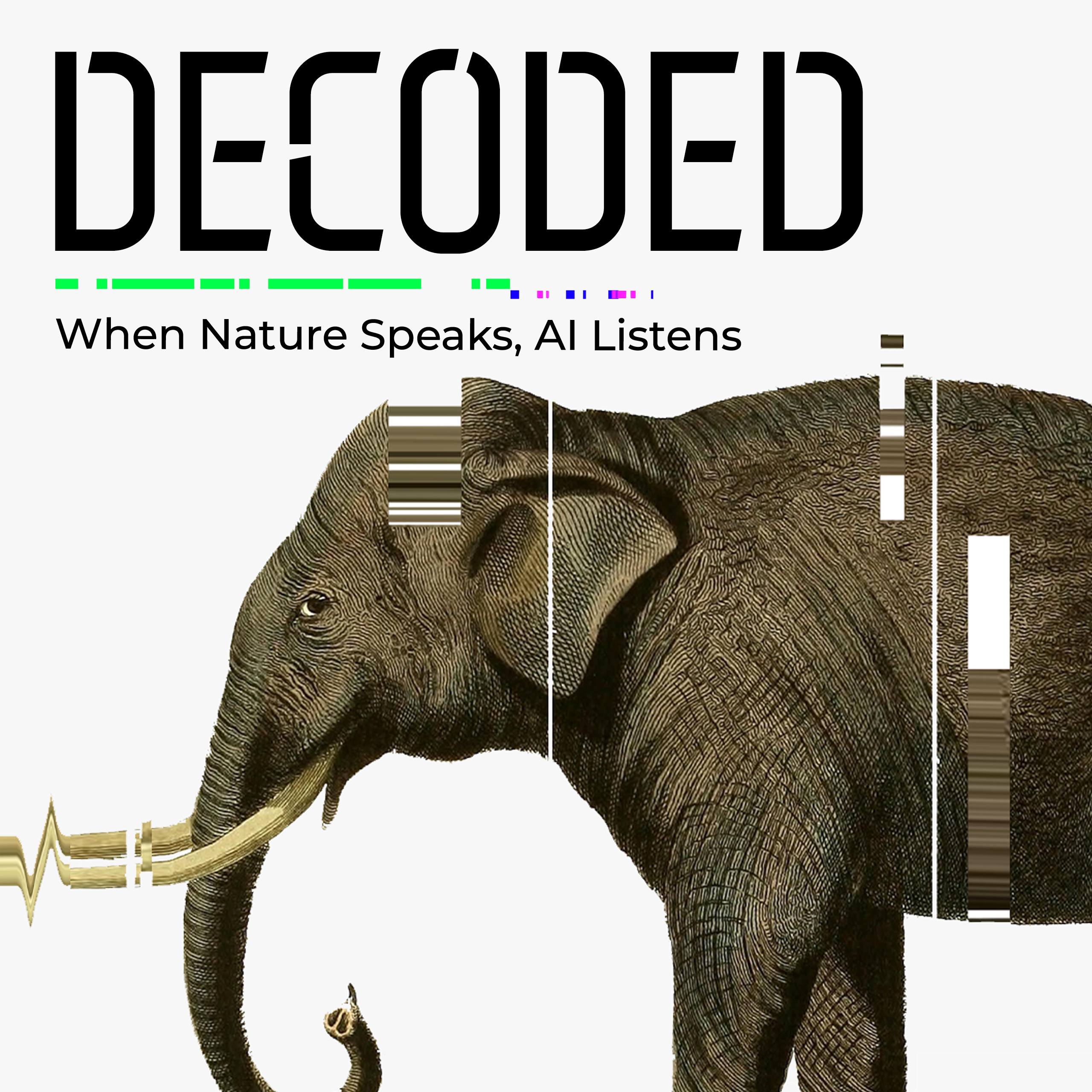 Decoded Poster